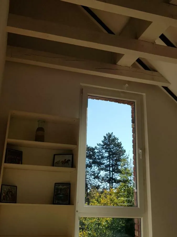 Villa High Ceiling 2 Bedrooms Troisdorf 0*,